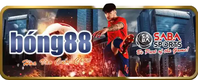 Liên hệ bộ phận hỗ trợ của sodo6789